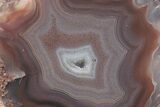 Attractive, Polished Banded Laguna Agate - Mexico #198575-1